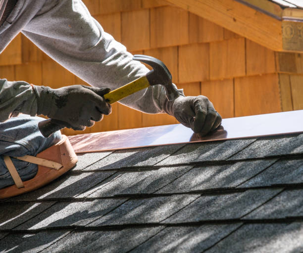 Roof Gutter Cleaning in Waycross, GA